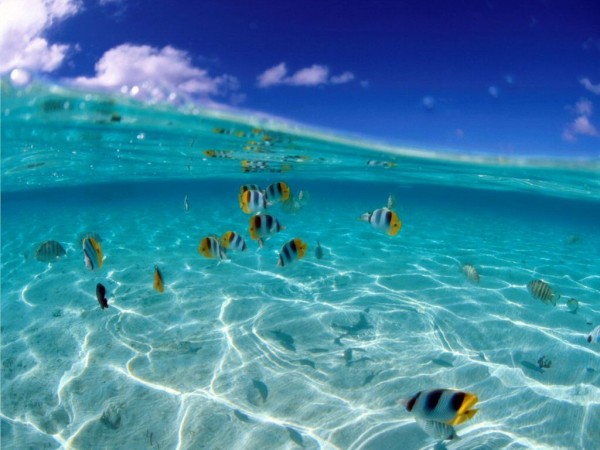 CAPODANNO HURGHADA 30 DICEMBRE - 2 GENNAIO 2026
