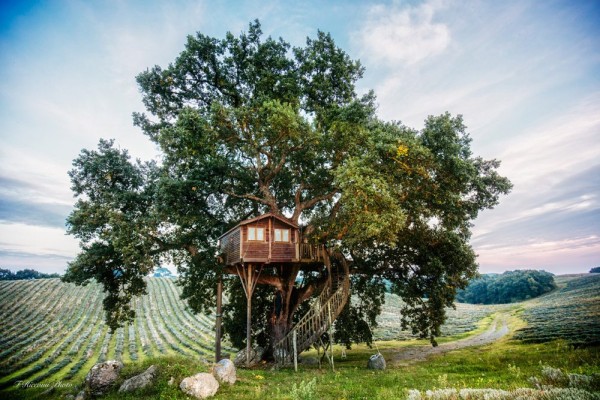 AGRITURISMO LA PIANTATA (VT)