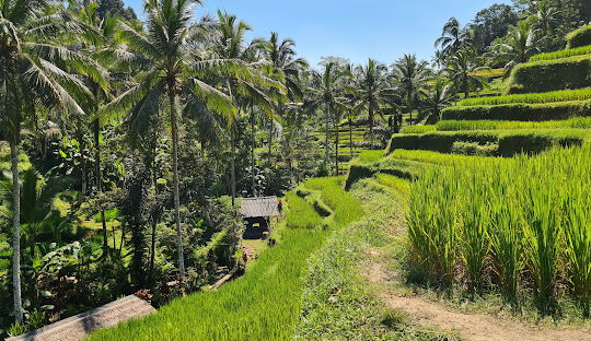 BALI 25 AGOSTO - 06 SETTEMBRE