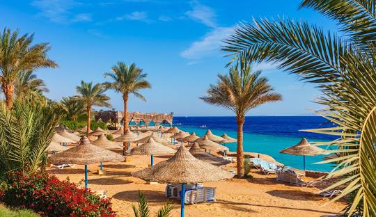 SHARM EL SHEIKH 24 - 31 LUGLIO